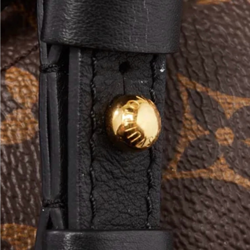 Louis Vuitton Palm Springs PM Backpack Monogram Canvas Brown Timeless Gift - Picture 14 of 15